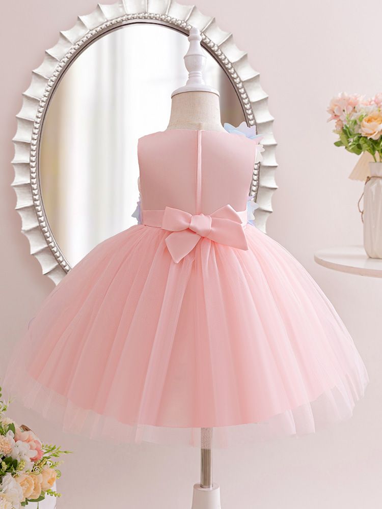 Girl's Sleeveless Princess Dress with rainbow color 3D Rose Embellishments