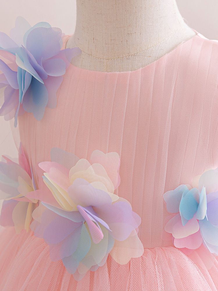 Girl's Sleeveless Princess Dress with rainbow color 3D Rose Embellishments