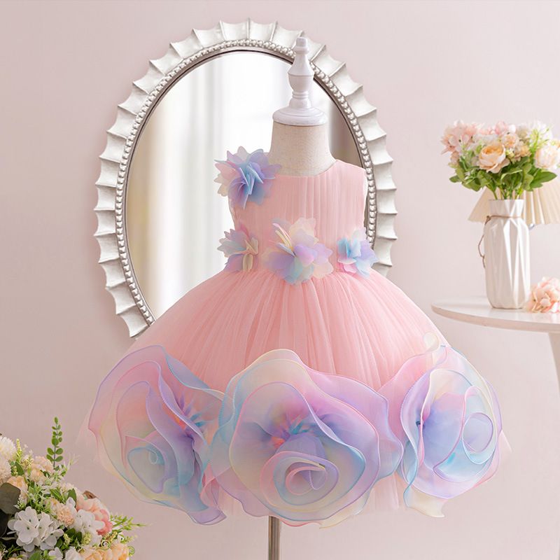 Girl's Sleeveless Princess Dress with rainbow color 3D Rose Embellishments