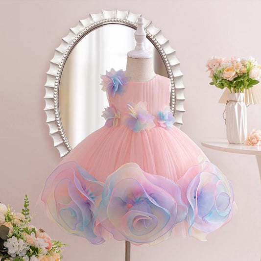 Girl's Sleeveless Princess Dress with rainbow color 3D Rose Embellishments