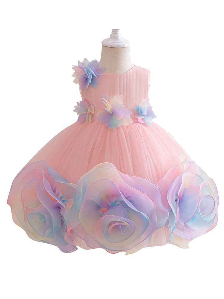Girl's Sleeveless Princess Dress with rainbow color 3D Rose Embellishments
