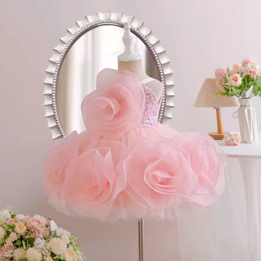 Girl's Sleeveless Princess Dress with 3D Rose Embellishments and sequins pink color
