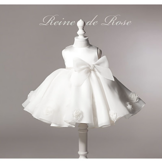 Elegant Baby dress with flowers and big bow knot White