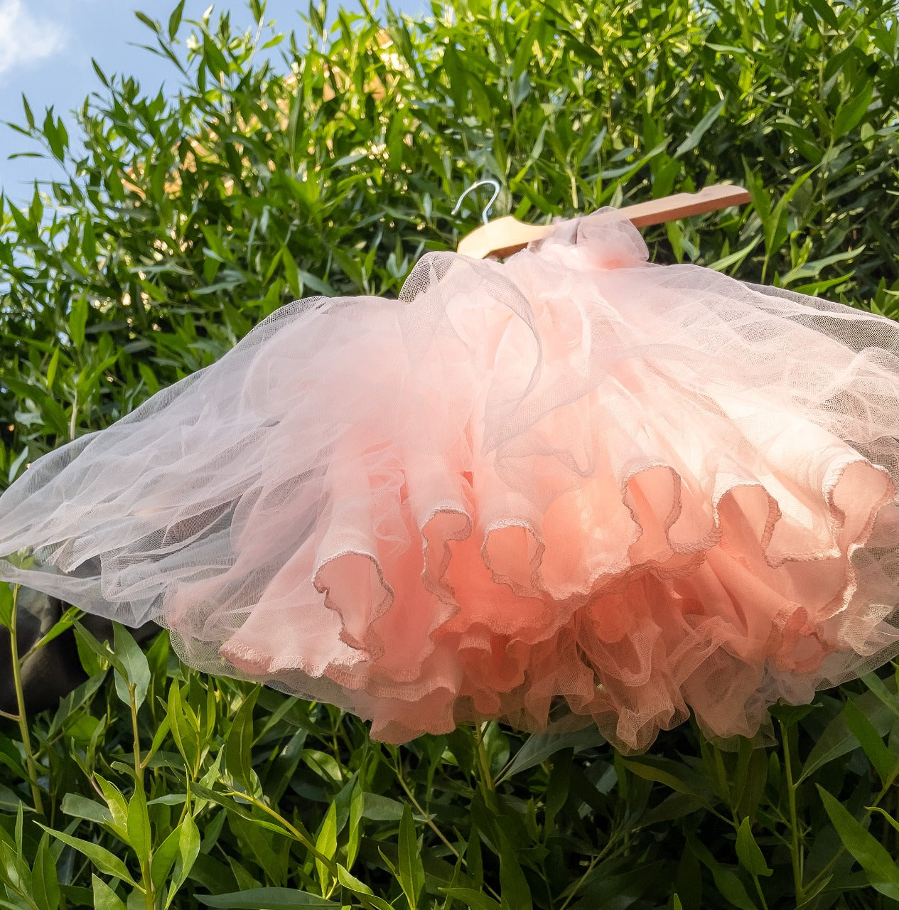 Amazing Butterfly tulle dress